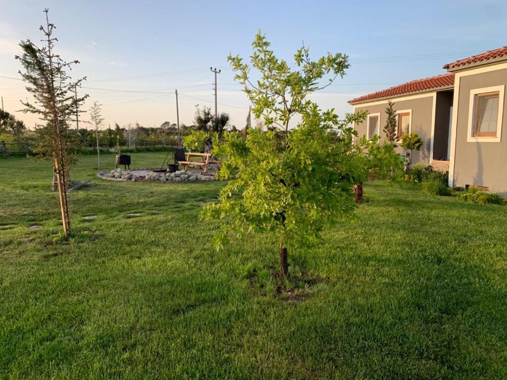 Adayel Bagevi & Butik Otel Tenedos Buitenkant foto